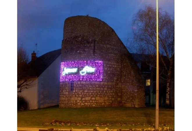 Visuel du décor à texte lumineux scintillant et dynamique Joyeuses Fêtes guirlandes roses - Leader Equipements