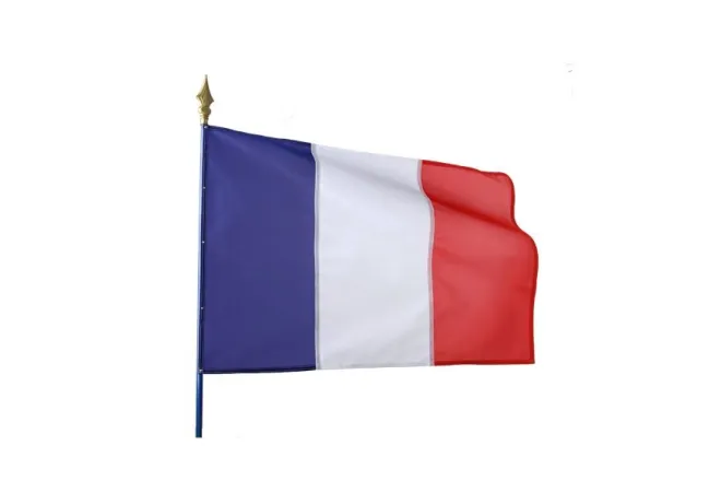 Visuel du drapeau tricolore sur hampe - Leader Equipements