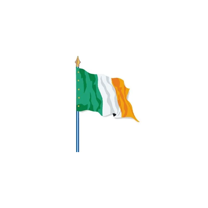 Visuel du Drapeau officiel de l'Irlande cloué sur hampe - Leader Equipements