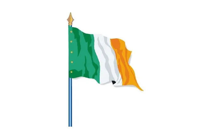 Visuel du Drapeau officiel de l'Irlande cloué sur hampe - Leader Equipements