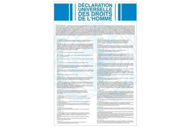 Plaque Déclaration Universelle des Droits de l'Homme et du Citoyen - Version classique