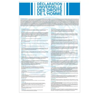 Plaque Déclaration Universelle des Droits de l'Homme et du Citoyen - Version classique