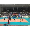 Poteaux de volley de compétition